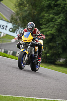 Advanced Group Yellow Bikes